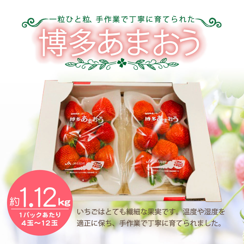 64％以上節約 博多あまおう 4パック 約1120g 国産 九州 福岡県産 イチゴ いちご 苺 果物 くだもの フルーツ 予約 送料無料 D2261  fucoa.cl