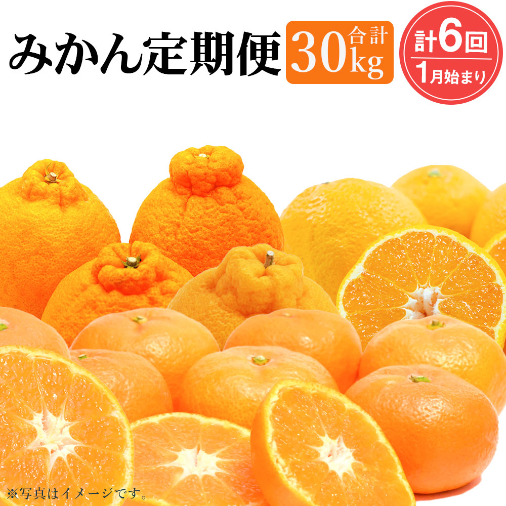 ふるさと納税 年6回定期便 Jaむなかたブランドみかん 約5kg 6種 合計30kg みはや 西南の光 はれひめ はるみ 不知火 せとか 早みかん 北原早生 宮川早生 みかん ミカン 蜜柑 フルーツ くだもの 果物 柑橘 予約 定期便 22年1月より順次発送 送料無料 C5301