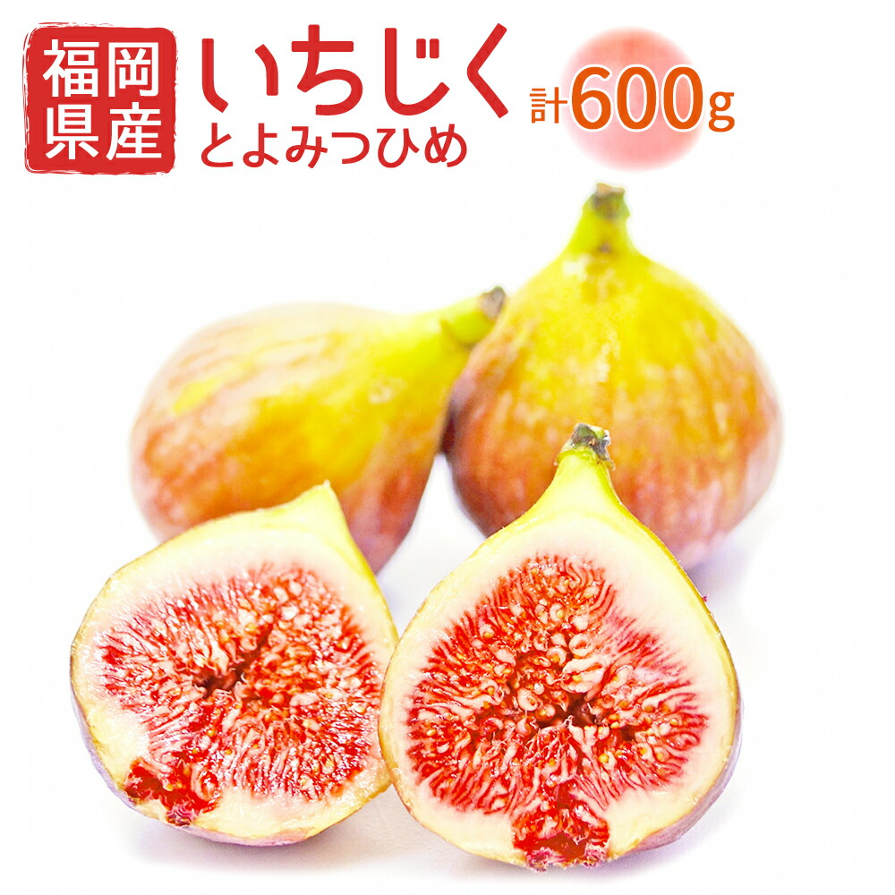 【ふるさと納税】福岡県産 とよみつひめ 約300g×2パック 合計約600g イチジク いちじく 無花果 フルーツ くだもの 果物 冷蔵 福岡県産 送料無料【2025年8月より順次発送】［F2298a］