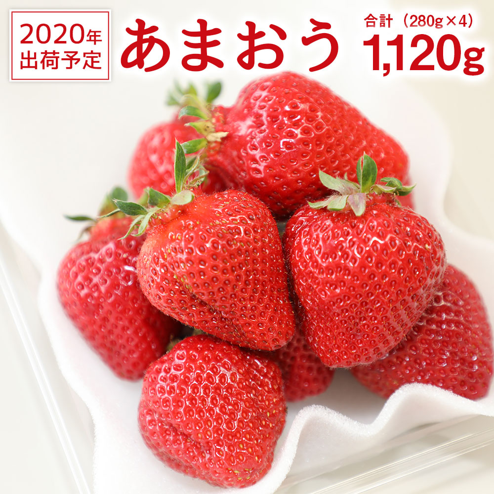 あまおう ふるさと納税 国産 あまおう イチゴ いちご フルーツ あまおう 年12月発送予定 果物 送料無料 福岡県福津市夫婦の愛情たっぷりで育てた なかむら農園自慢の あまおう を今年も受け付けいたします あかい まるい おおきい うまい の頭