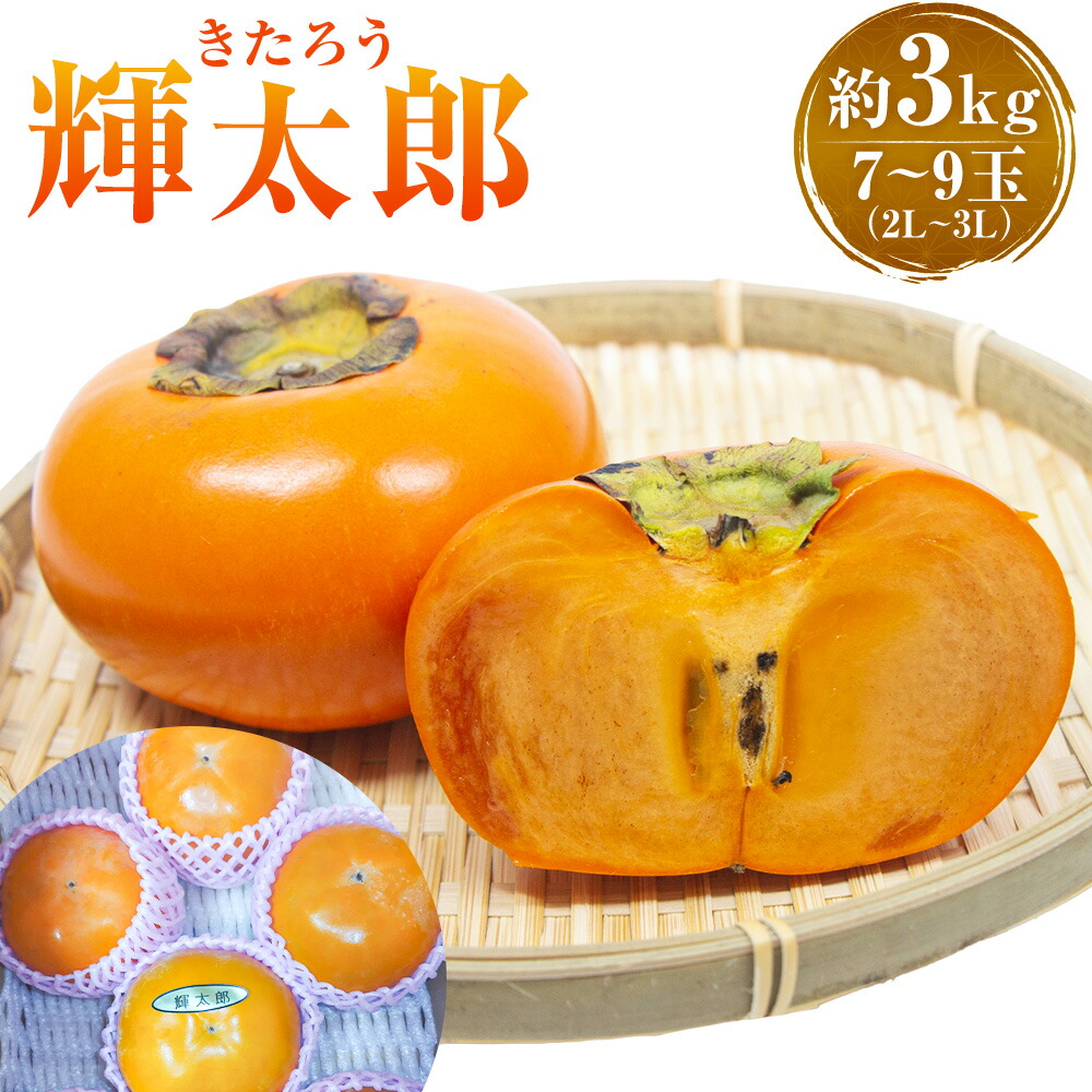 【ふるさと納税】輝太郎 約3kg 7-9玉(2L-3L) 【2026年9月下旬～10月上旬発送予定】 柿 輝太郎柿 かき 果物 くだもの フルーツ グルメ おやつ 常温 送料無料 福岡県 うきは市