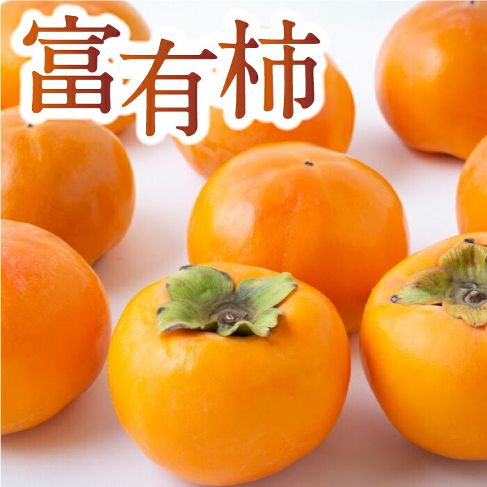 【ふるさと納税】〈選べる容量〉石井農園 富有柿 9玉から12玉・15玉から20玉 2025年11月中旬から12月上旬 出荷予定 柿 かき カキ フルーツ 果実 果物 常温 送料無料 福岡県 うきは市
