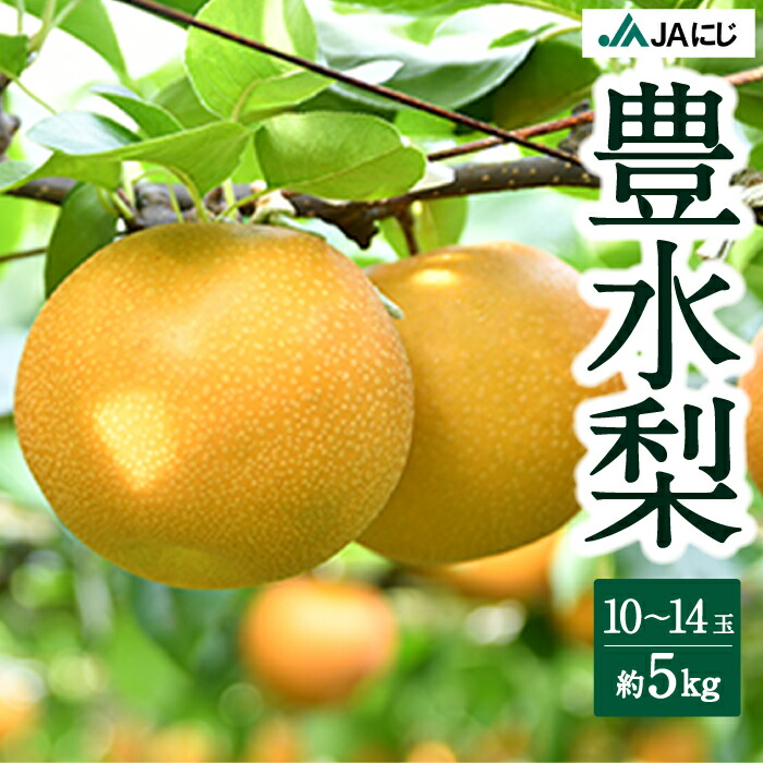 【ふるさと納税】【先行予約】JAにじ 豊水梨 10玉から14玉 (約5kg) 2025年8月中旬から9月上旬 出荷予定 梨 なし ナシ フルーツ 果実 果物 常温 送料無料 福岡県 うきは市