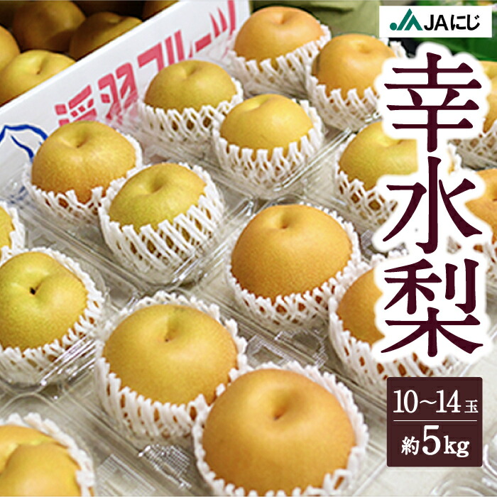 【ふるさと納税】【先行予約】JAにじ 幸水梨 10玉から14玉 (約5kg) 2025年8月上旬 出荷予定 梨 なし ナシ フルーツ 果実 果物 常温 送料無料 福岡県 うきは市