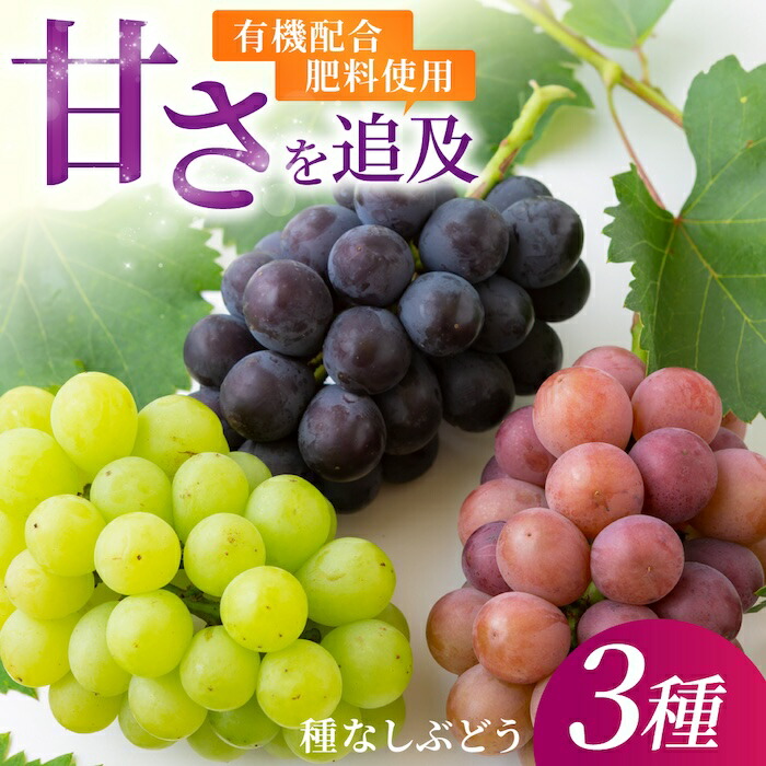 【ふるさと納税】【先行予約】有機配合肥料使用 種なし ハウスぶどう 3種セット 2025年7月中旬から8月上旬 出荷予定【春光園】 ぶどう ブドウ 葡萄 果物 フルーツ 詰め合わせ 冷蔵 送料無料 福岡県 うきは市