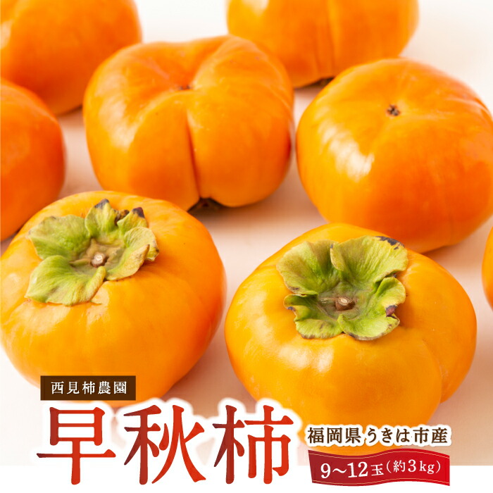 【ふるさと納税】【先行予約】西見柿農園 早秋柿 9玉から12玉 (約3kg) 2025年10月上旬から10月中旬 出荷予定 柿 カキ 旬 フルーツ 果物 果実 常温 送料無料 福岡県 うきは市