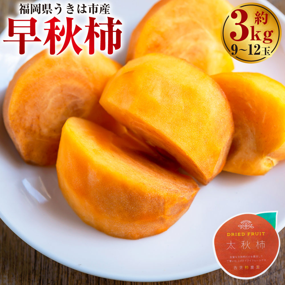【ふるさと納税】【先行予約】西見柿農園 早秋柿 9玉から12玉 （約3kg） 【2026年10月上旬～10月中旬より順次発送予定】 柿 かき カキ 早秋 そうしゅう 大玉 果物 くだもの フルーツ 果実 ジューシー 高糖度品種 お取り寄せ 常温 送料無料 福岡県 うきは市