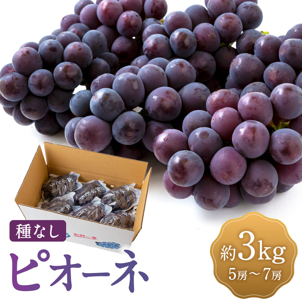 【ふるさと納税】【先行予約】宝玉農園 ピオーネ 5房から7房 5房～7房 （約3kg） 【2026年8月下旬～9月上旬より順次発送予定】 ぶどう ブドウ 葡萄 大粒 種無し 種なし フルーツ 果物 果実 冷蔵 送料無料 福岡県 うきは市