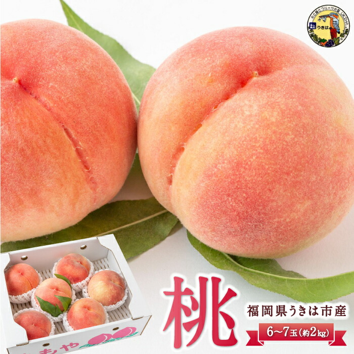 【ふるさと納税】道の駅うきは 桃 6～7玉 (約2kg) 2025年7月中旬から8月上旬 出荷予定 もも モモ 果物 果実 冷蔵 送料無料 福岡県 うきは市