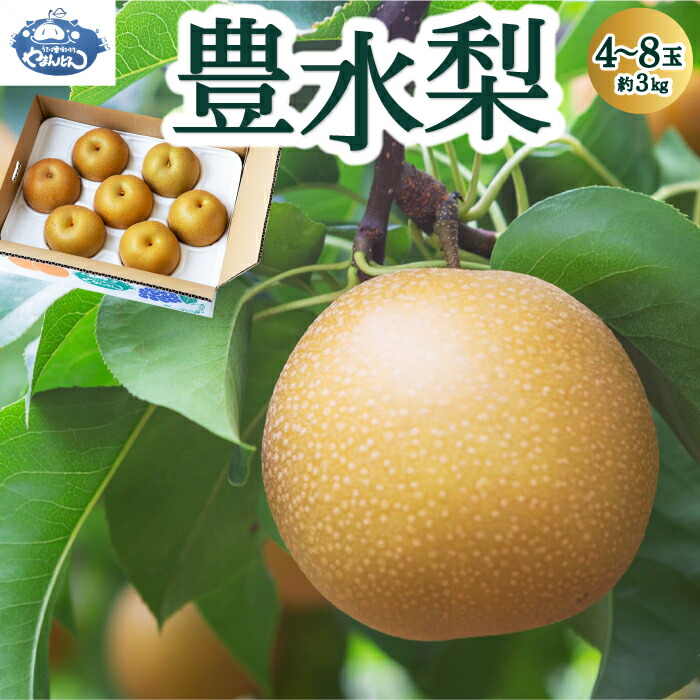 【ふるさと納税】【先行予約】やまんどん 豊水梨 4玉から8玉 (約3kg) 2025年8月下旬から9月上旬 出荷予定 なし ナシ 梨 フルーツ 果物 果実 冷蔵 送料無料 福岡県 うきは市