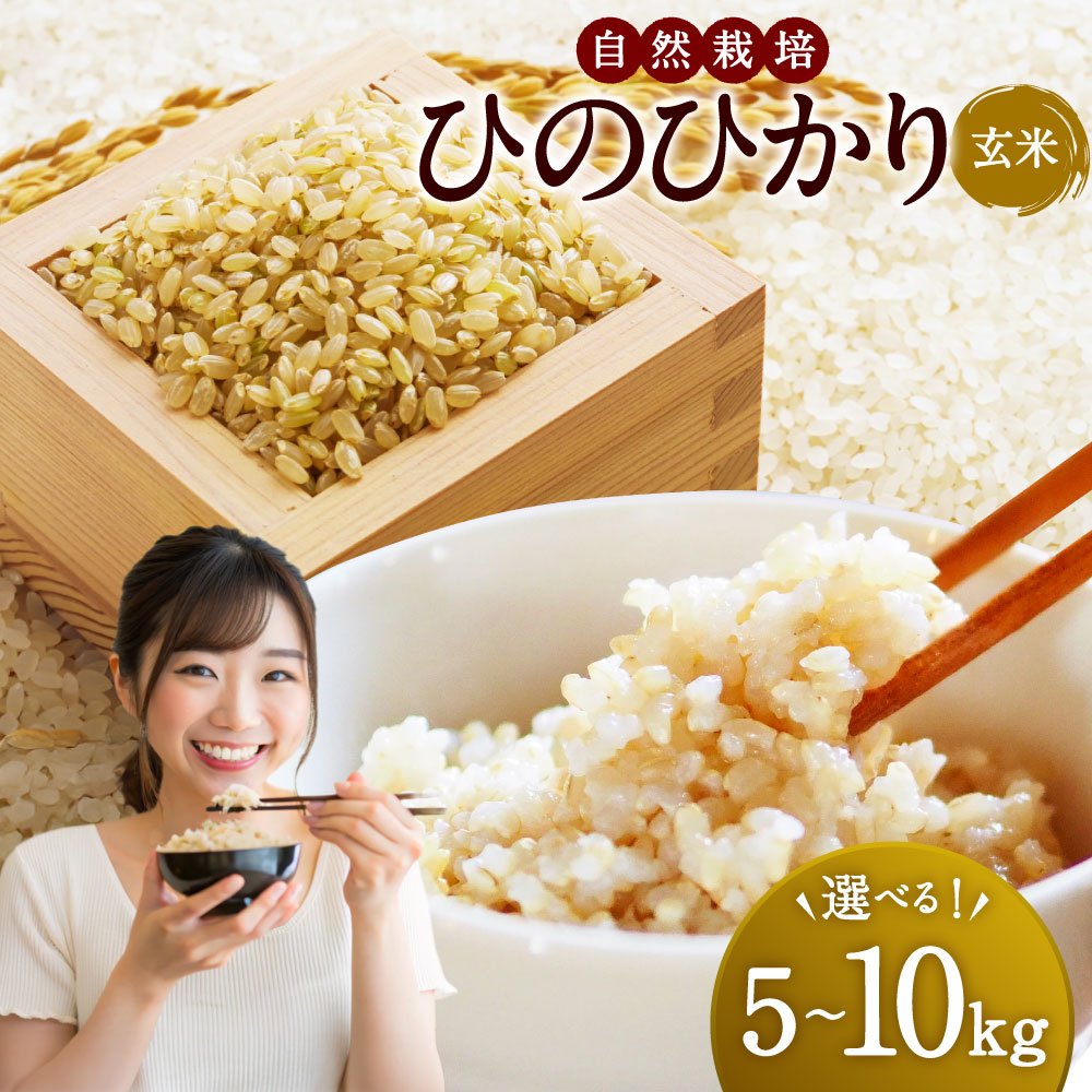 楽天市場】【ふるさと納税】【先行予約】低アミロース米 ぴかまる 玄米