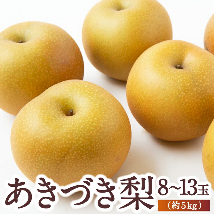 【ふるさと納税】【先行予約】佐藤ファーム あきづき梨 8玉から13玉 (約5kg) 2025年9月上旬から9月中旬 出荷予定 梨 なし ナシ フルーツ 果実 果物 常温 送料無料 福岡県 うきは市