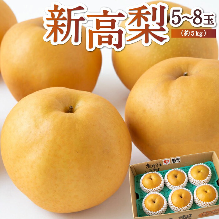 【ふるさと納税】【先行予約】佐藤ファーム 新高梨 5玉から8玉 (約5kg) 2025年9月下旬から10月上旬 出荷予定 梨 なし ナシ フルーツ 果実 果物 常温 送料無料 福岡県 うきは市