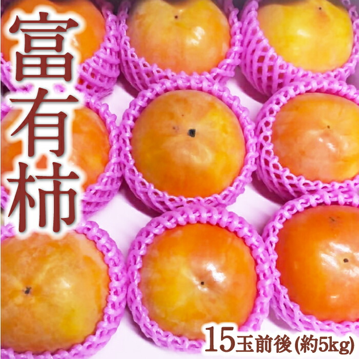 【ふるさと納税】うえ村フルーツ 富有柿 15玉前後 (約5kg) 2025年11月中旬から12月上旬 出荷予定 柿 カキ 旬 フルーツ 果物 果実 常温 送料無料 福岡県 うきは市