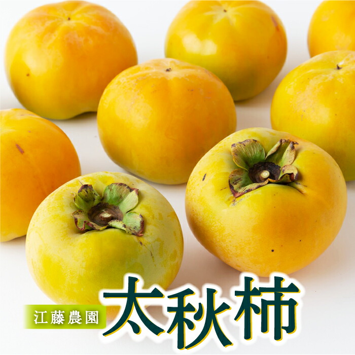 【ふるさと納税】 【先行予約】江藤農園 太秋柿 (2Lから3L) 8玉から11玉・14玉から17玉 (約5kg) 2025年10月中旬から11月上旬 出荷 かき 柿 カキ フルーツ 果実 果物 常温 送料無料 福岡県 うきは市予定