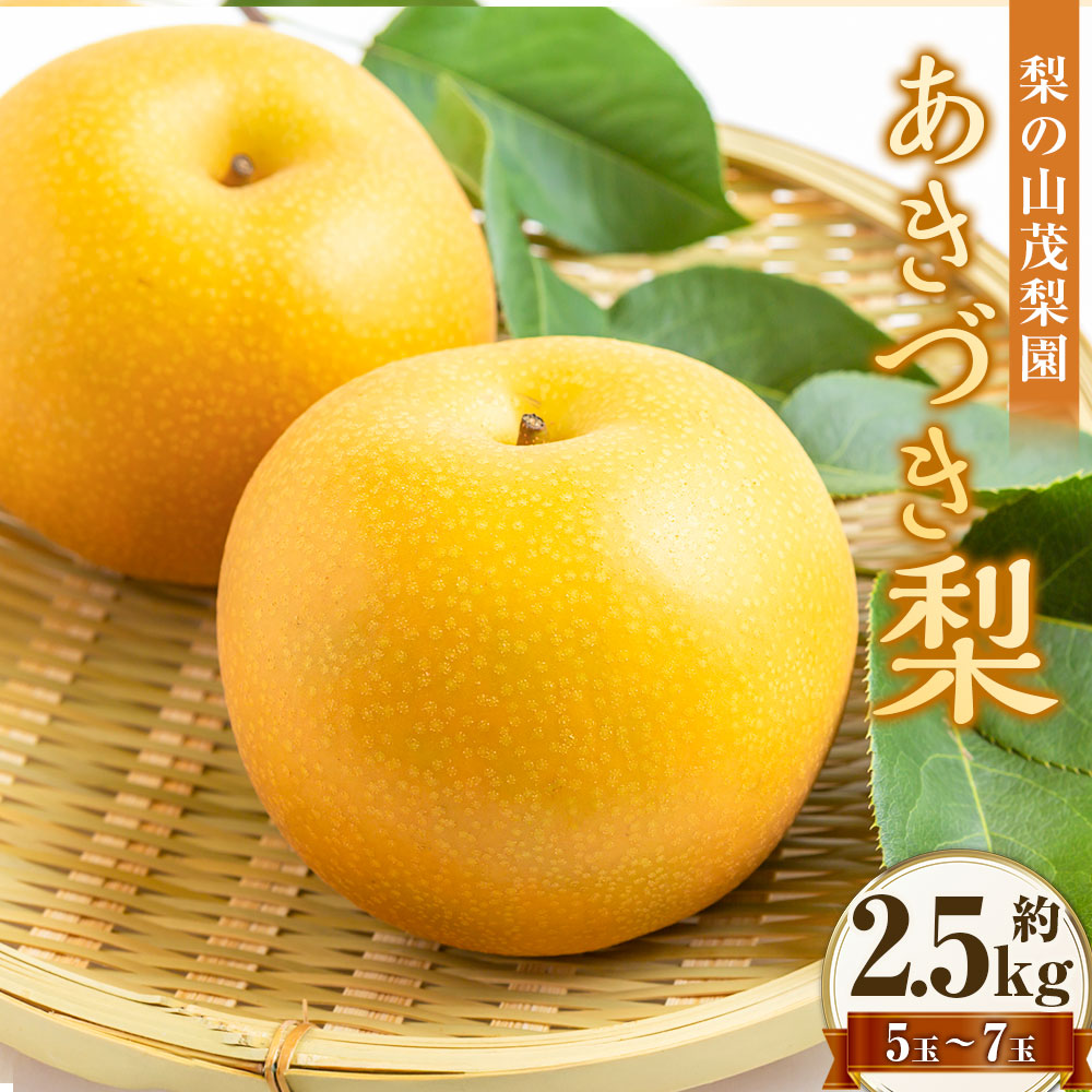 【ふるさと納税】【先行予約】 梨の山茂梨園 あきづき梨 5玉～7玉（約2.5kg） 赤梨 梨 なし ナシ フルーツ くだもの 果物 果実 福岡県産 国産 九州 福岡県 うきは市 送料無料 【2026年9月上旬～下旬発送予定】