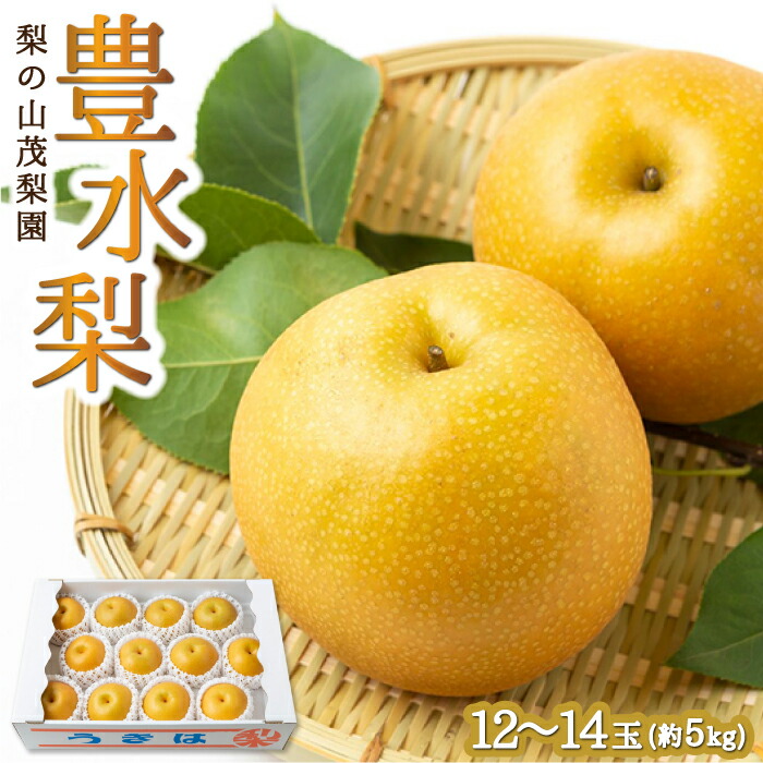 【ふるさと納税】 【先行予約】梨の山茂梨園 豊水梨12玉から14玉 (約5kg) 2025年8月下旬から9月上旬 出荷予定 梨 なし ナシ フルーツ 果実 果物 常温 送料無料 福岡県 うきは市