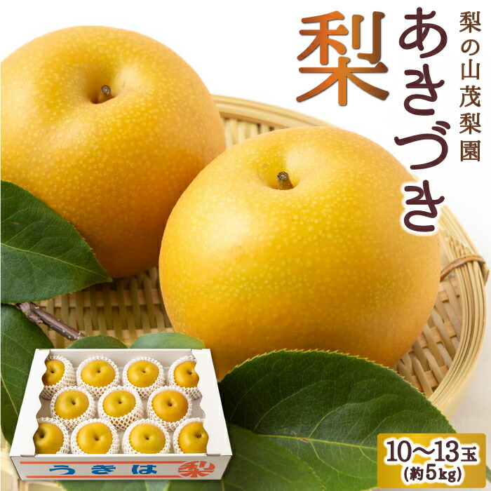 【ふるさと納税】 【先行予約】梨の山茂梨園 あきづき梨 10玉から13玉 (約5kg) 2025年9月上旬から9月中旬 出荷予定 梨 なし ナシ フルーツ 果実 果物 常温 送料無料 福岡県 うきは市