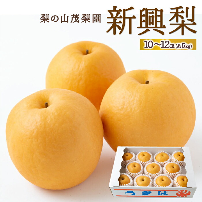 【ふるさと納税】 【先行予約】梨の山茂梨園 新興梨 10玉から12玉 (約5kg) 2025年10月中旬から10月下旬 出荷予定 梨 なし ナシ フルーツ 果実 果物 常温 送料無料 福岡県 うきは市