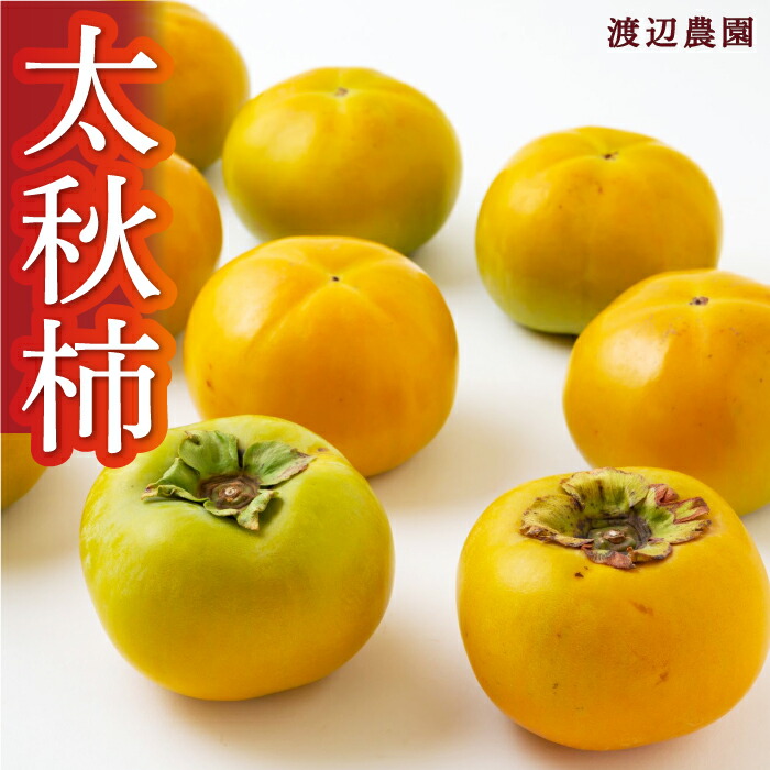 【ふるさと納税】【先行予約】渡辺農園 太秋柿 6玉前後・9玉前後・12玉から15玉 2025年10月中旬から10月下旬 出荷予定 柿 かき カキ フルーツ 果実 果物 常温 送料無料 福岡県 うきは市