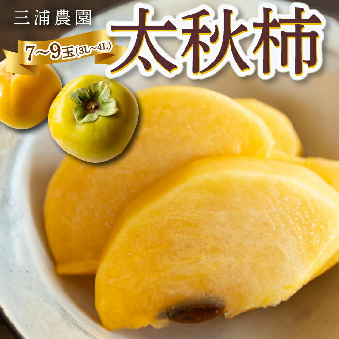【ふるさと納税】【先行予約】三浦農園 太秋柿 7玉から9玉 (3Lから4L) 2025年10月上旬から10月下旬 出荷予定 柿 かき カキ フルーツ 果実 果物 常温 送料無料 福岡県 うきは市