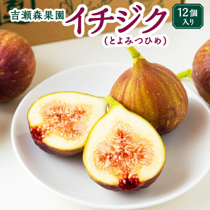 【ふるさと納税】【先行予約】吉瀬森果園 イチジク (とよみつひめ) L玉 12個入り 2025年8月中旬から9月下旬 出荷予定 果物 フルーツ 果実 冷蔵 送料無料 福岡県 うきは市