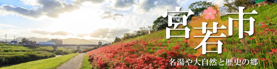 ʡ�����ܼ�ԡ��դ뤵��Ǽ�ǡ�ʡ�����ܼ��