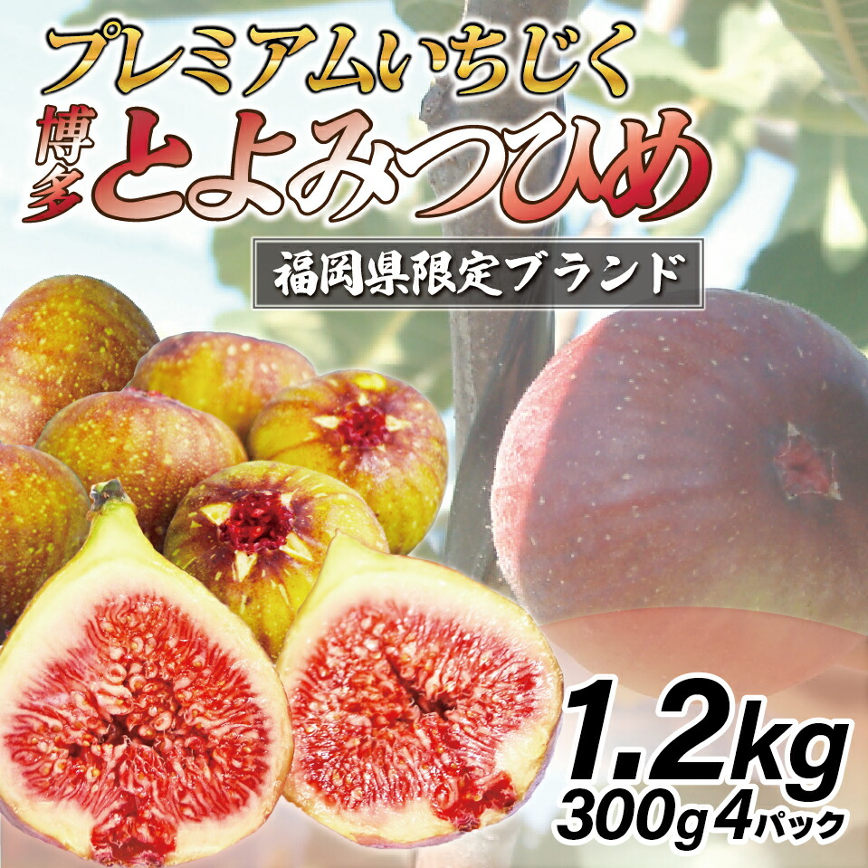 【ふるさと納税】福岡県ブランドいちじく「博多とよみつひめ」300g 4パック M775