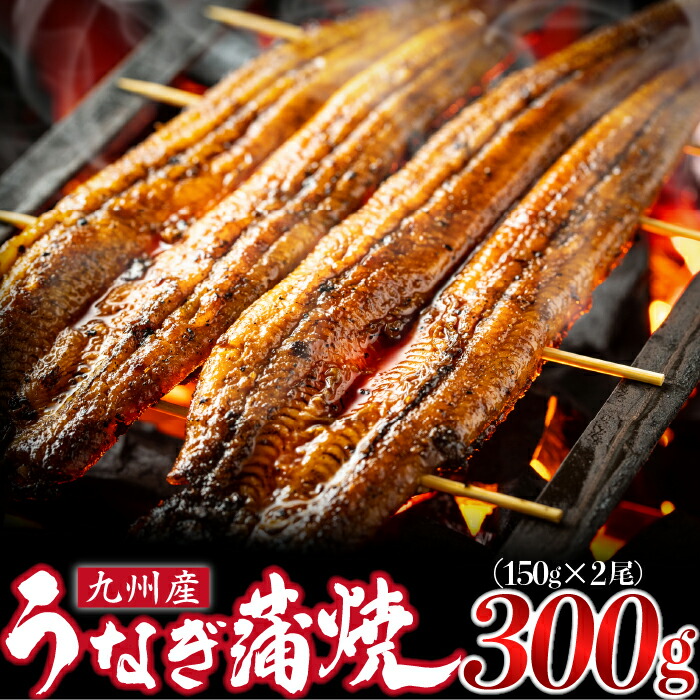 【ふるさと納税】M685-2 国産うなぎ 有頭 蒲焼 2尾 150g ウナギ 鰻 夏バテ スタミナ