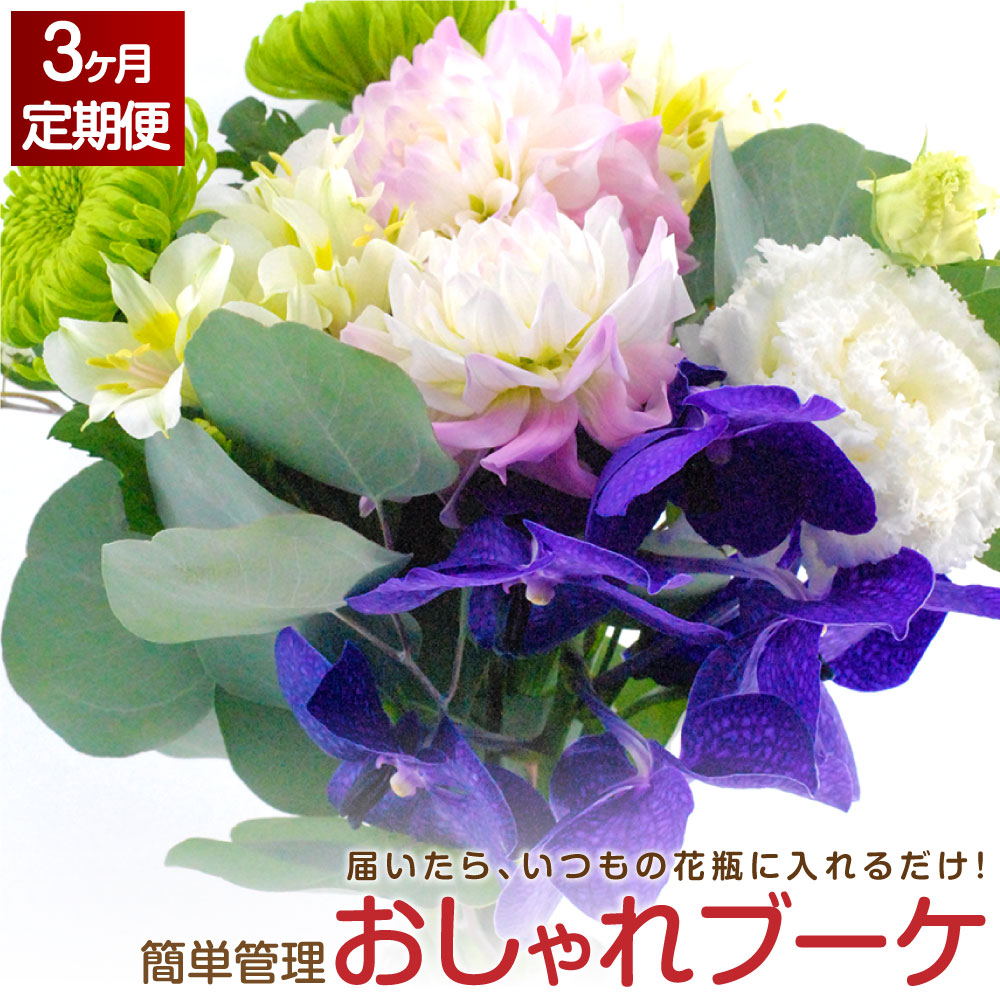 3回定期便 届いたらいつもの花瓶に入れるだけ ふるさと納税 簡単管理のおしゃれブーケ 花 観葉植物 旬 初回花瓶付き 3回 フラワー 延命剤付き 3回 花束 定期便 インテリア 季節折々の花を嘉麻市の生産者さんを中心にデザイナーがチョイスさせていただきます お花
