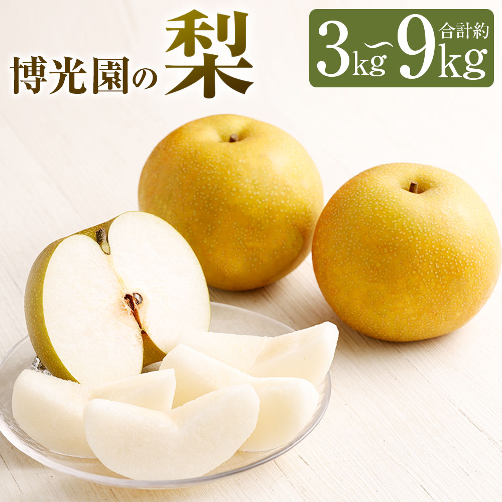 【ふるさと納税】梨 約3kg/約4.5kg/約7kg/約9kg 選べる内容量 豊水 20世紀 新高 新興 なし ナシ 果物 くだもの フルーツ 果実 九州産 国産 福岡県産 数量限定 期間限定 送料無料【2025年9月下旬～12月下旬に順次発送予定】