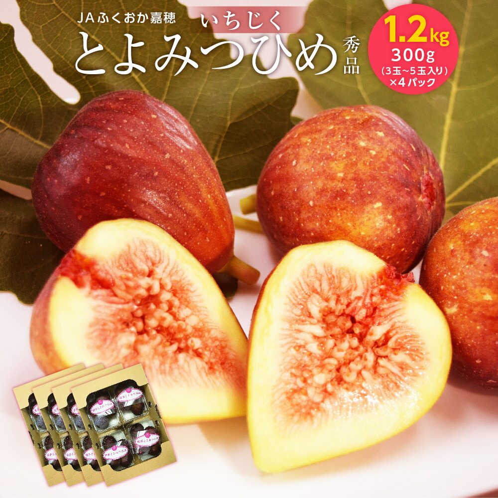 【ふるさと納税】JAふくおか嘉穂 いちじく とよみつひめ 秀品 合計約1.2kg 約300g(3玉~5玉入り)×4パック イチジク 無花果 フルーツ 果物 肉厚 福岡県産 九州産 国産 送料無料 【2025年8月下旬～10月下旬に順次発送予定】