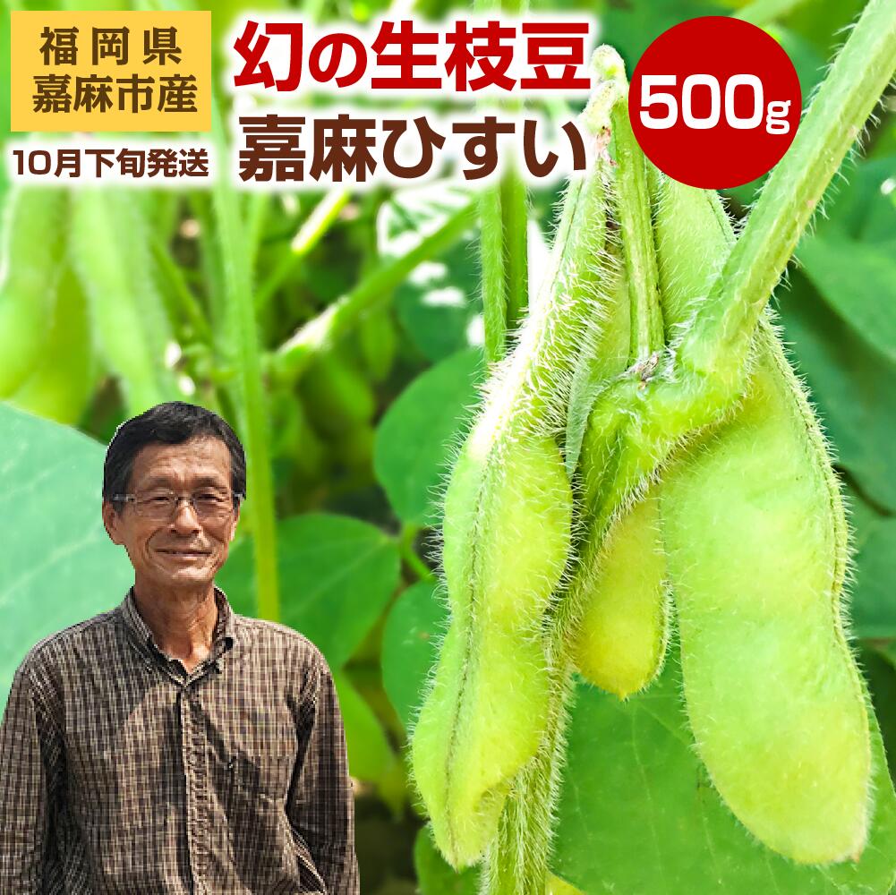 <予約> 幻の生枝豆 嘉麻ひすい 500g 福岡県 嘉麻市産 青大豆 キヨミドリ 根付き 枝付き えだまめ えだ豆 おつまみ 冷蔵便 クール便