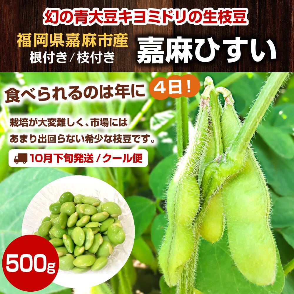 ラッピング無料 予約 幻の生枝豆 嘉麻ひすい 500g 福岡県 嘉麻市産 青大豆 キヨミドリ 根付き 枝付き えだまめ えだ豆 おつまみ 冷蔵便 クール便 Fucoa Cl