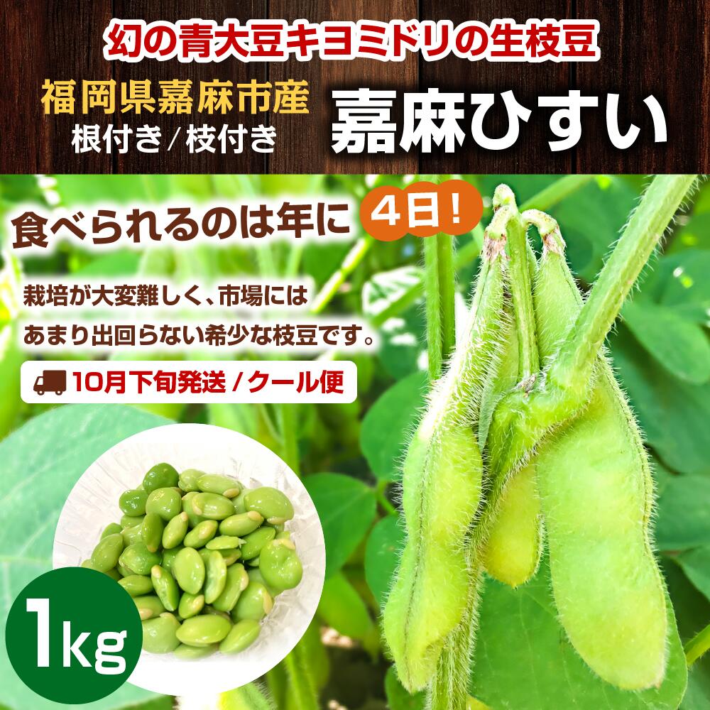 国内即発送 予約 幻の生枝豆 嘉麻ひすい 1kg 500g 2 福岡県 嘉麻市産 青大豆 キヨミドリ 根付き 枝付き えだまめ えだ豆 おつまみ 冷蔵便 クール便 Fucoa Cl 国内即発送 予約 幻の生枝豆 嘉麻ひすい 1kg 500g 2 福岡県 嘉麻市産 青大豆 キヨミドリ 根付き 枝付き えだまめ えだ豆 おつまみ 冷蔵便 クール便 Fucoa Cl