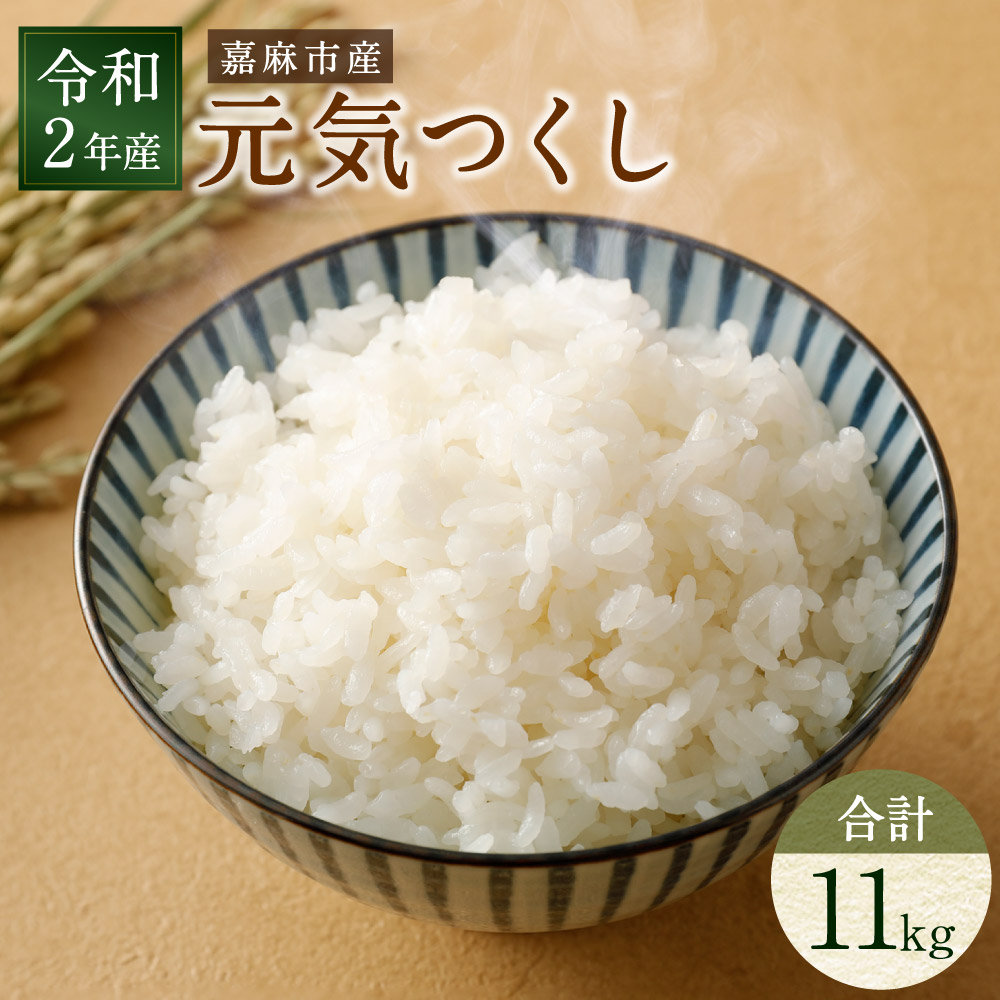 楽天市場 楽天市場 ふるさと納税 お米 元気つくし 合計約11kg 白米 令和2年産 精米 単一原料米 福岡県産 九州産 送料無料 福岡県嘉麻市 全商品オープニング価格特別価格 Www Lexusoman Com