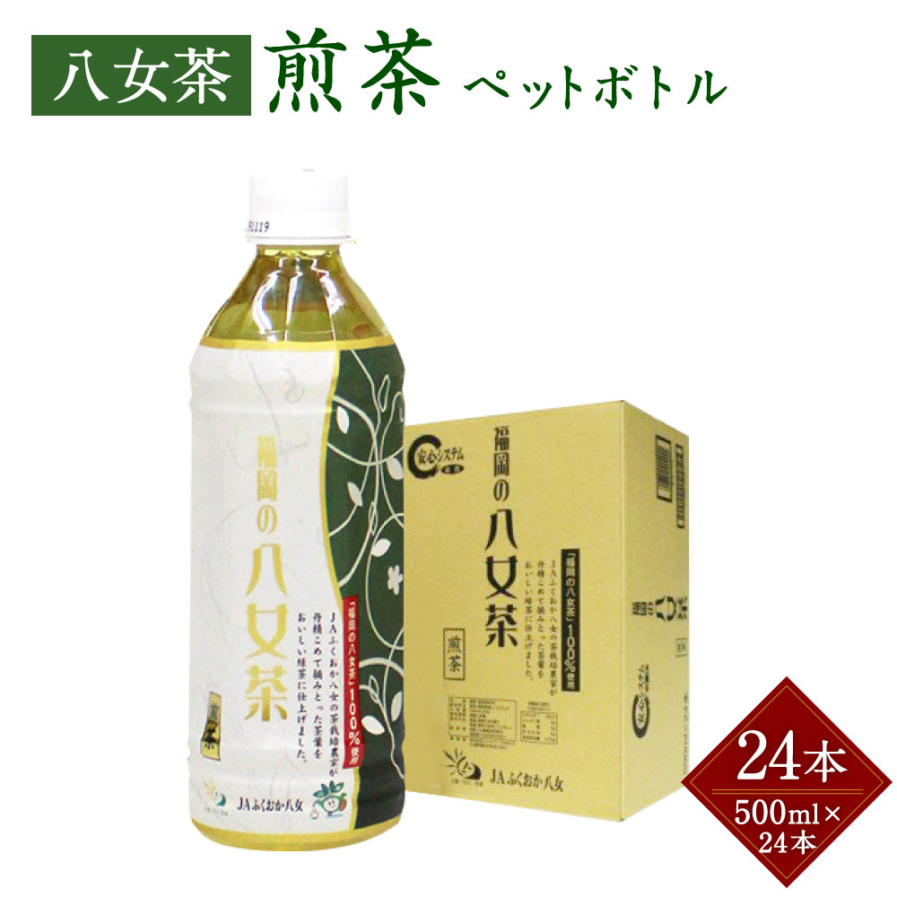 無料発送 八女茶 煎茶 ペットボトル 500ml 24本 1箱 1ケース 福岡県 八女市 星野村産 お茶 緑茶 茶葉 日本茶 せんちゃ 福岡県嘉麻市 超爆安 Www Purpleforparents Us