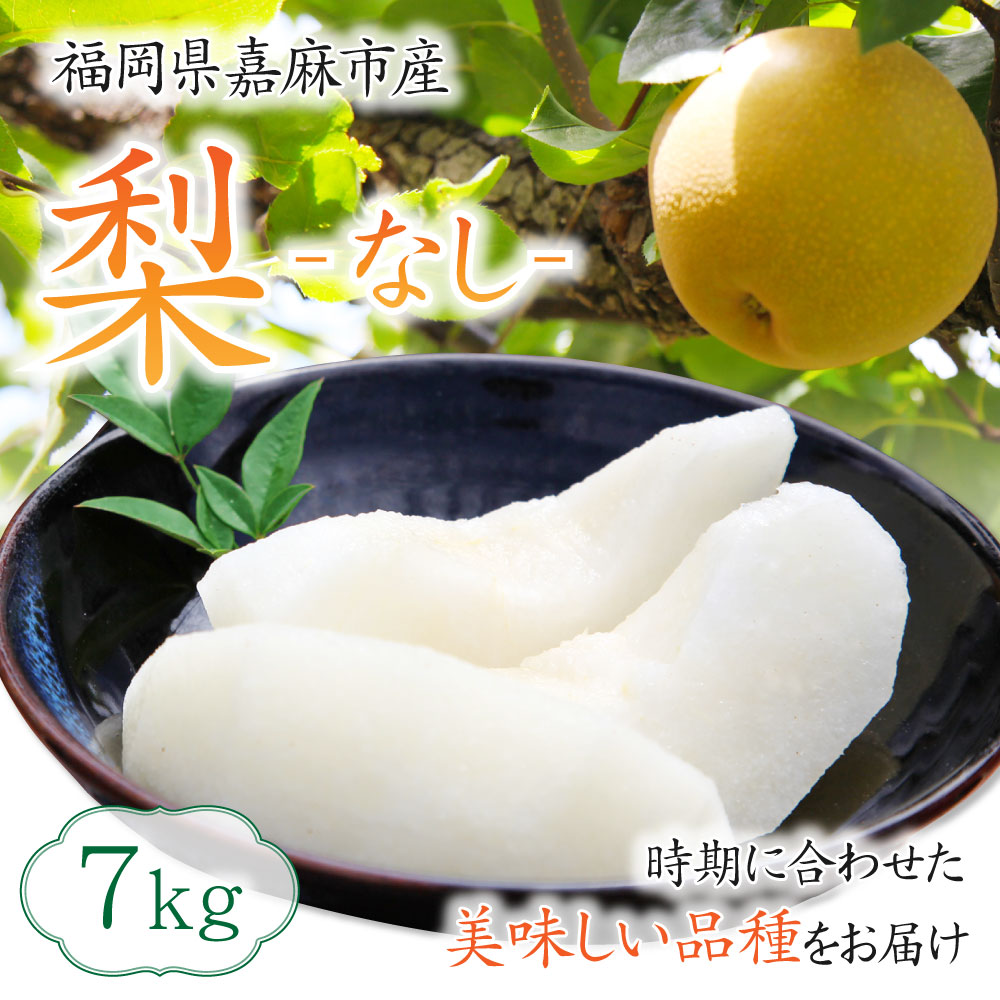 新作送料無料 梨 7kg 二十世紀 豊水 南水 あきづき 新高 新興 王秋 なし ナシ 果物 くだもの フルーツ 果実 九州産 国産 福岡県産 数量限定 期間限定 送料無料 Fucoa Cl