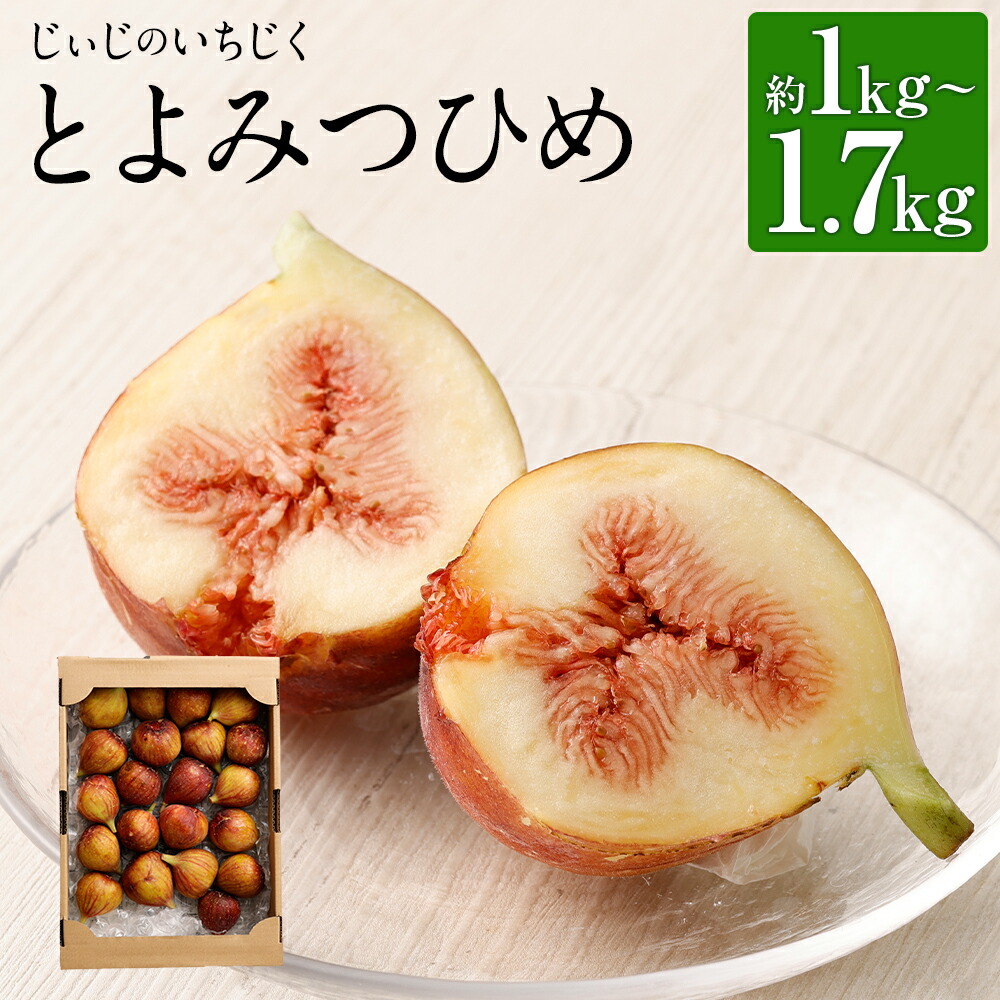 【ふるさと納税】じいじのいちじく とよみつひめ 約1kg/約1.5kg/約1.7kg 選べる内容量 糖度平均17度 いちじく イチジク 無花果 フルーツ 果物 栽培期間中農薬不使用 福岡県産 九州産 国産 冷蔵 送料無料【2025年8月上旬～10月下旬に順次発送予定】