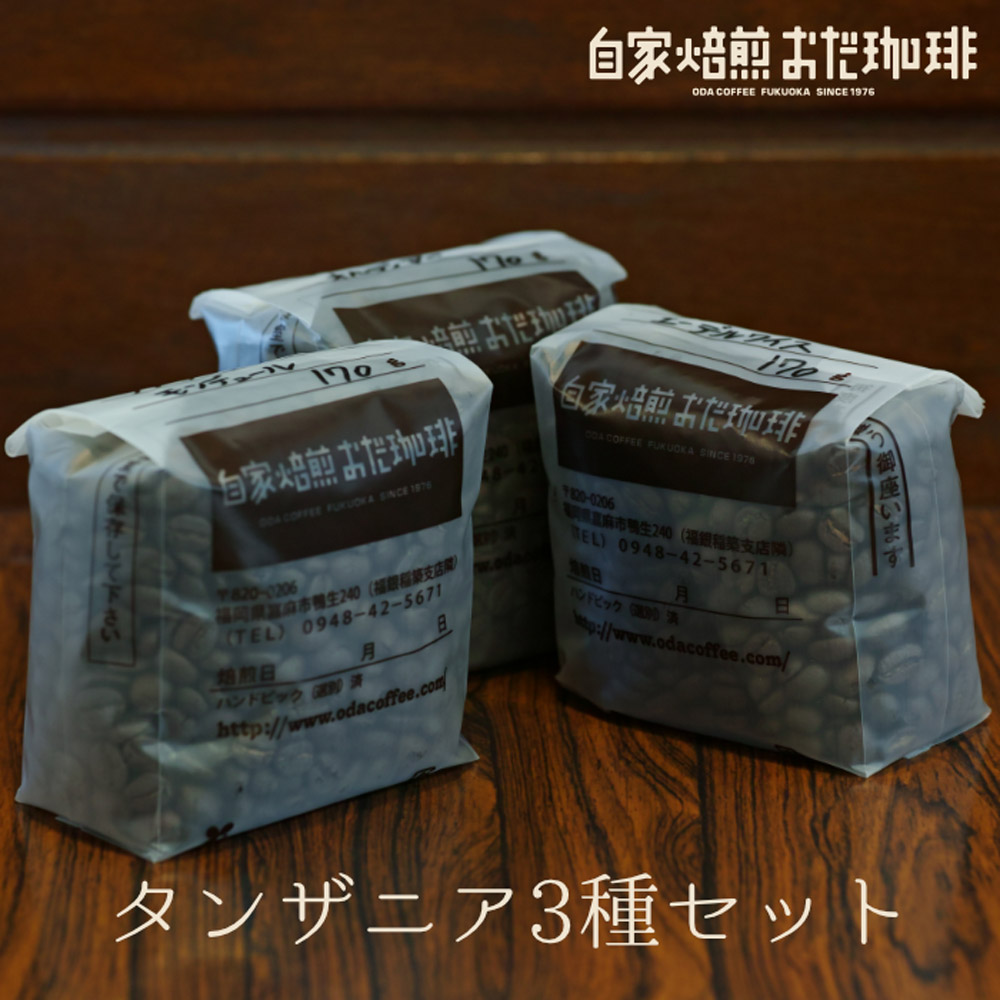 【ふるさと納税】自家焙煎おだ珈琲 タンザニア 3種セット 合計510g 各170g×3個 3種類 セット コーヒー豆 珈琲 嘉麻市 福岡県 送料無料