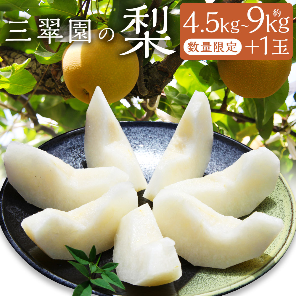 【ふるさと納税】＜選べる内容量＞【数量限定】三翠園の梨 4.5kg+1玉・9.0kg+1玉 梨 なし ナシ くだもの 果物 果実 フルーツ 幸水 豊水 二十世紀 あきづき 新高 新興 冷蔵 福岡県産 国産 福岡県 嘉麻市 送料無料 【2026年8月上旬～12月上旬迄順次発送予定】｜福岡県嘉麻市