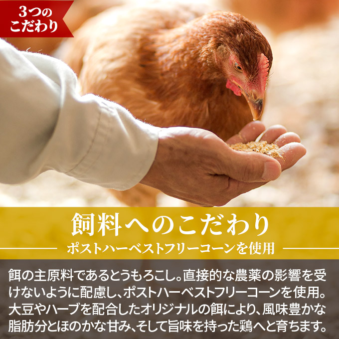 市場 ふるさと納税 天野商店 ※配送不可：離島 古処鶏 鶏飼う人 水炊きギフトセット