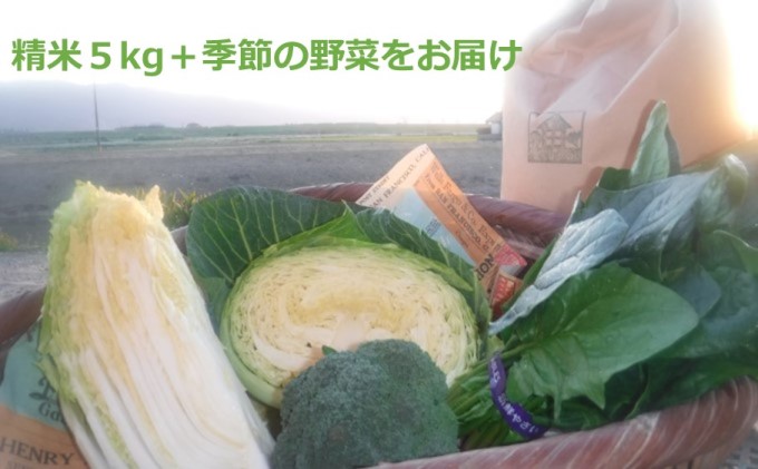 予約販売 お米5kgと季節のお野菜セット fucoa.cl