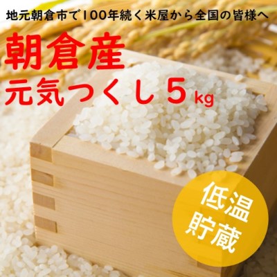 楽天市場】【ふるさと納税】朝倉産 「夢つくし」5kg 【お米】 : 福岡県朝倉市