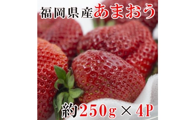 正規店仕入れの ふるさと納税 あまおう 約250g 4p 果物類 いちご 苺 イチゴ お届け 22年1月日 2月28日 在庫有 Www Lexusoman Com