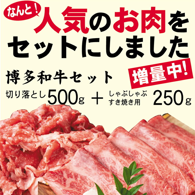 SALE／68%OFF】 数量限定 博多 和牛 A4以上 しゃぶしゃぶ すき焼き750g セット スライス250g 切り落とし500g ※配送不可  fucoa.cl