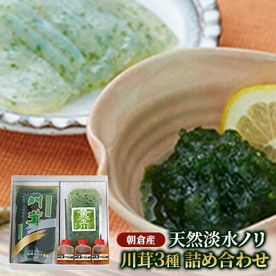【ふるさと納税】のり 海苔 珍味 川茸の詰め合わせ 遠藤金川堂 淡水海苔 天然 高級天然淡水ノリ 加工食品 調味料