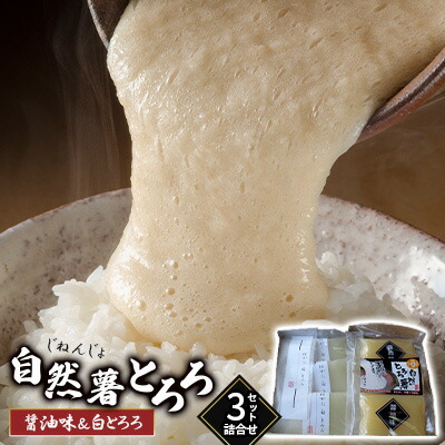 【ふるさと納税】いも 自然薯 山芋 とろろ 食べ比べ 詰合せ セット 2種 各3袋 朝倉市産 自然薯王国 野菜 根菜 セット