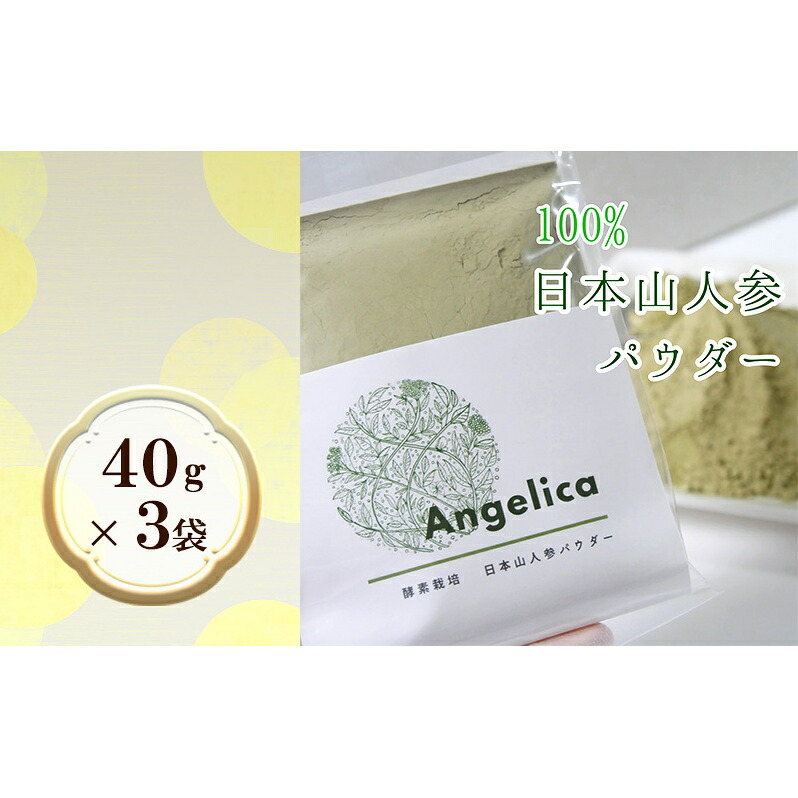 【ふるさと納税】★希少★日本山人参パウダー40g×3袋 飲料類 お茶 野菜/人参 |福岡県朝倉市