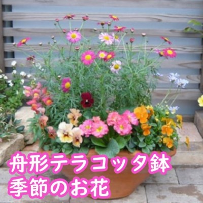 朝倉市の厳選牛特集｜とろける旨みと雅びやかな脂 選りすぐりの一皿を今